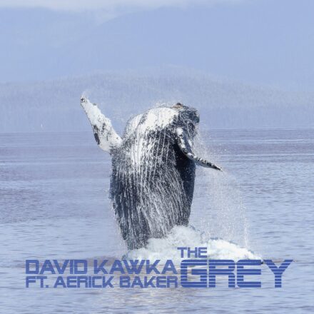 David Kawka feat. Aerick Baker - The Grey-min