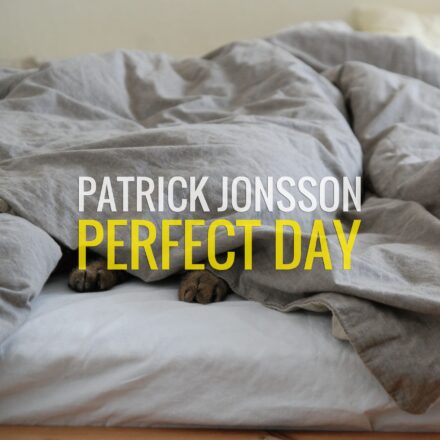 Patrick Jonsson - Perfect Day-min
