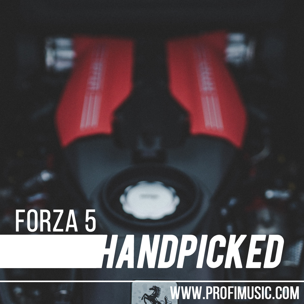 Forza 5